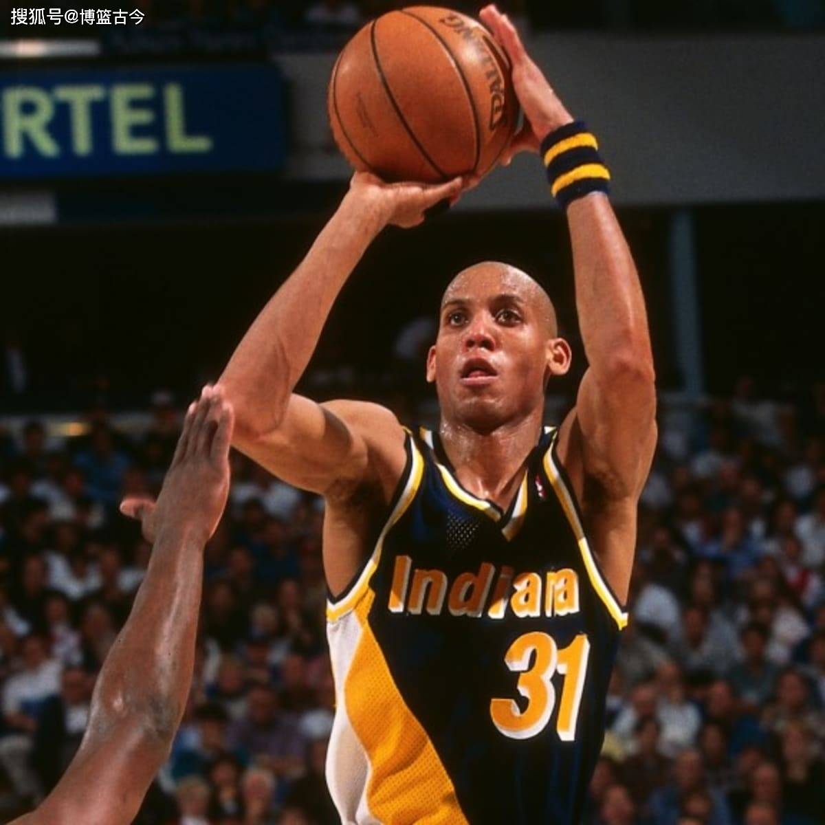 常年占据顶 常年占据顶